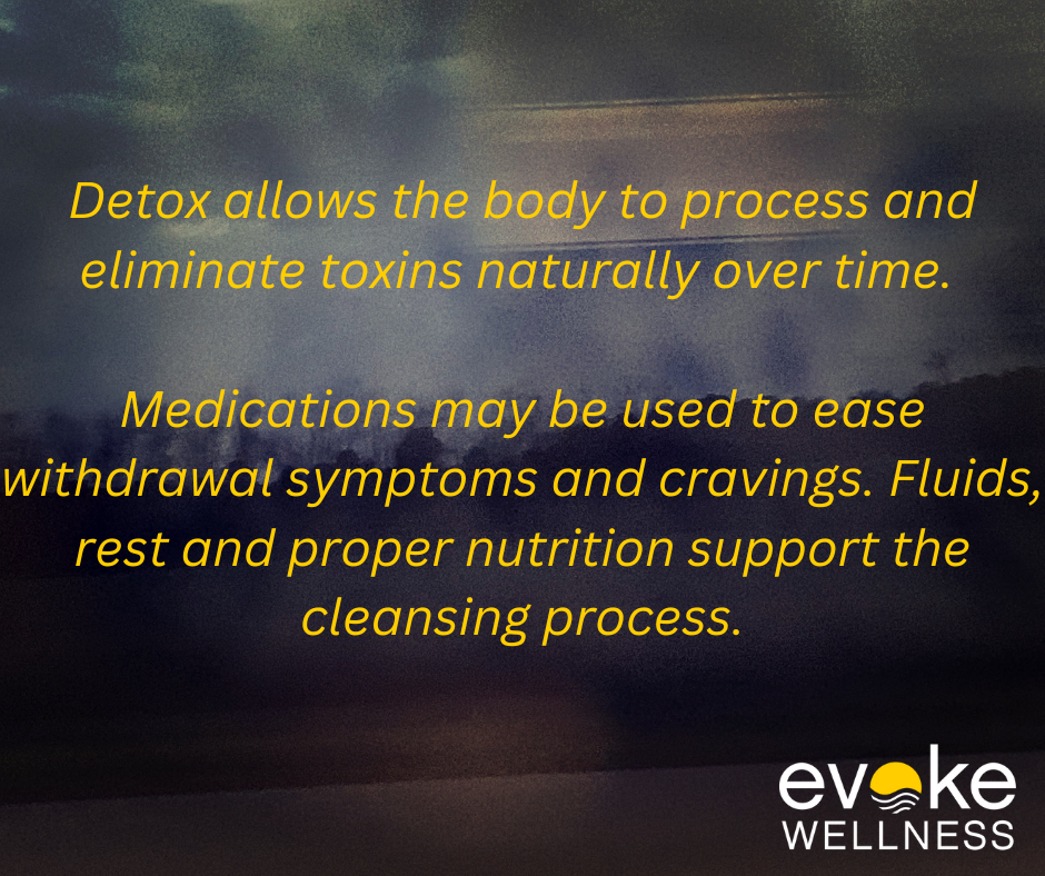 How Detox Works