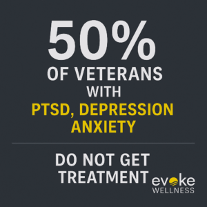 Veterans Mental Health Support Program